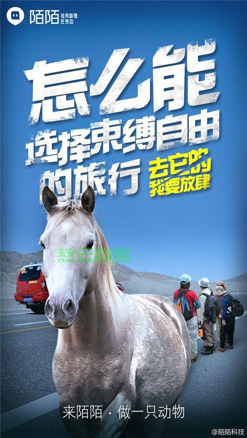 陌陌附近人广告怎么做？ 第3张