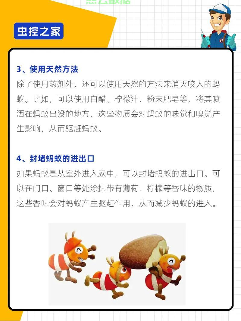 高效灭蚁实用攻略，轻松清除蚂蚁烦恼！ 第2张