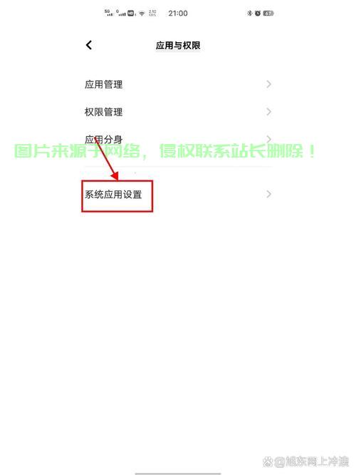 vivo手机怎么填写服务器地址? 第1张