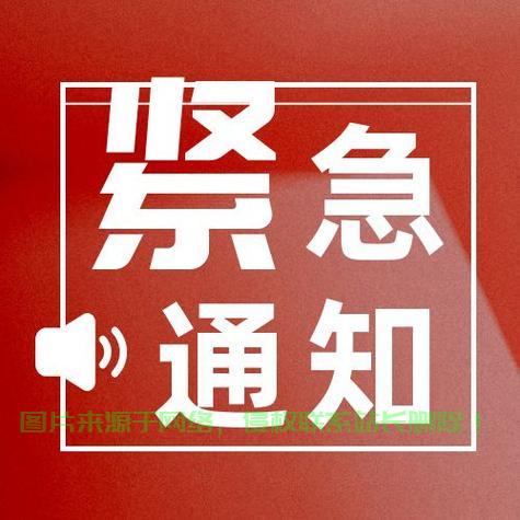 通知闪讯，最新消息速递，不容错过！ 第3张