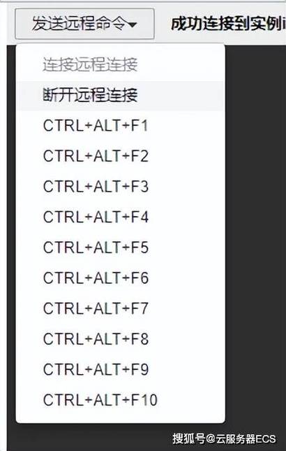 云ecs服务器怎么重置密码? 第2张
