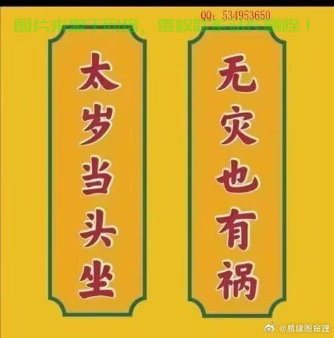 深度揭秘，探寻君的真实意图与情感故事，情感解析大揭秘！ 第2张