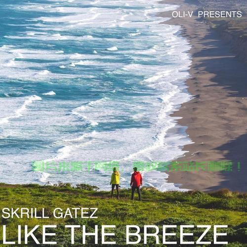 全方位解读Skrill支付巨头，优势与特色揭秘 第2张