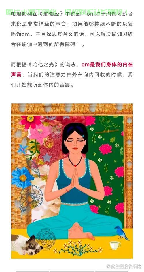 揭秘OM的神秘面纱，深度解析OM的含义与起源 第2张