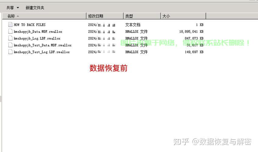 揭秘数据文件奥秘，探寻关键信息宝藏之旅 第2张