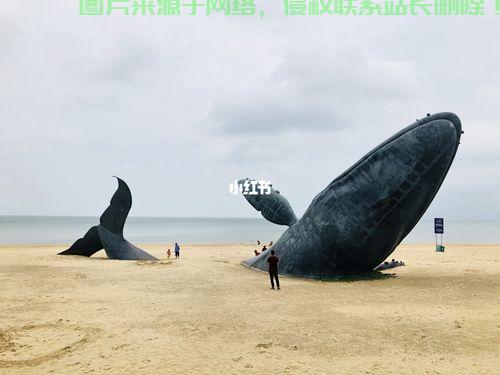 鲸打卡，引领学习打卡新潮流，创新学习方式！ 第3张
