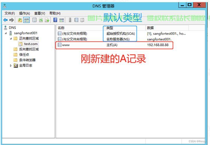 dns备选服务器怎么设置? 第1张