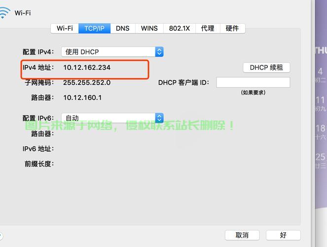 轻松上手IPv6地址查询技巧！ 第1张