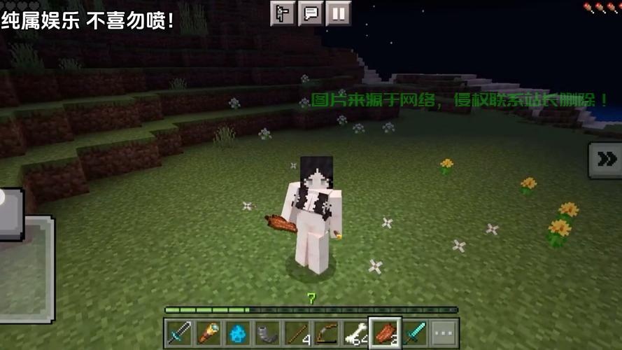 mc服务器怎么设置正版皮肤? 第3张