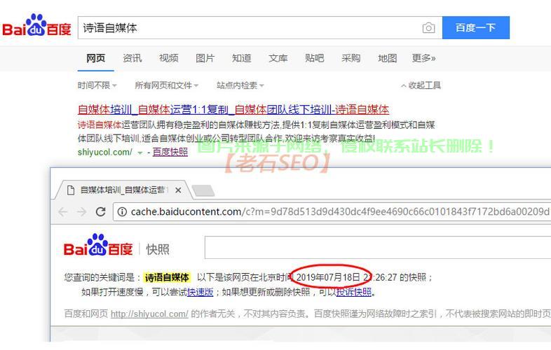 揭秘网页快照，快速预览网页内容的利器 第3张