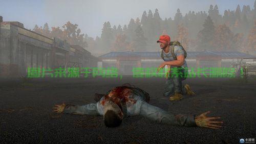 H1Z1生存指南，探索未知世界，攻略大师助你成为生存王者！ 第3张