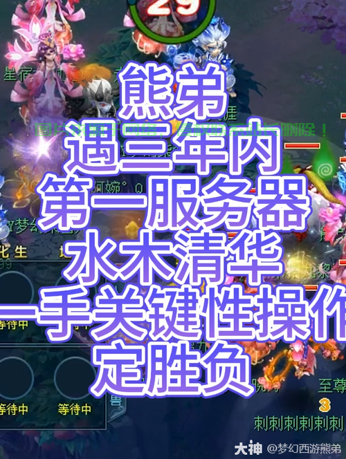 梦幻西藏服务器怎么进? 第1张