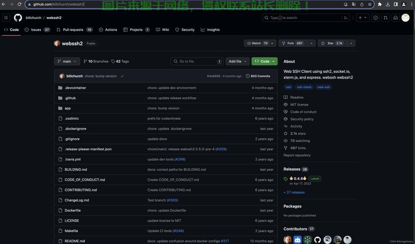 SSH工具下载宝典，安全快速获取所需版本指南 第2张