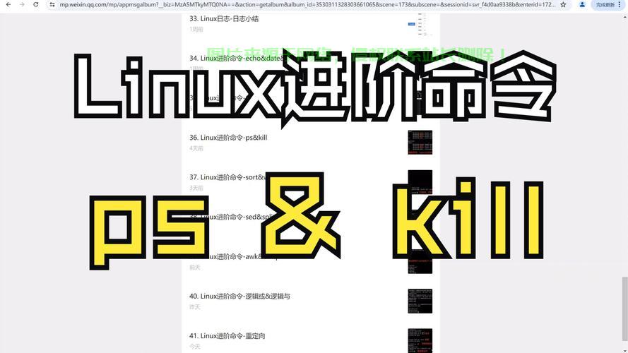 Kill命令详解，使用技巧与重点解析，一网打尽！ 第3张