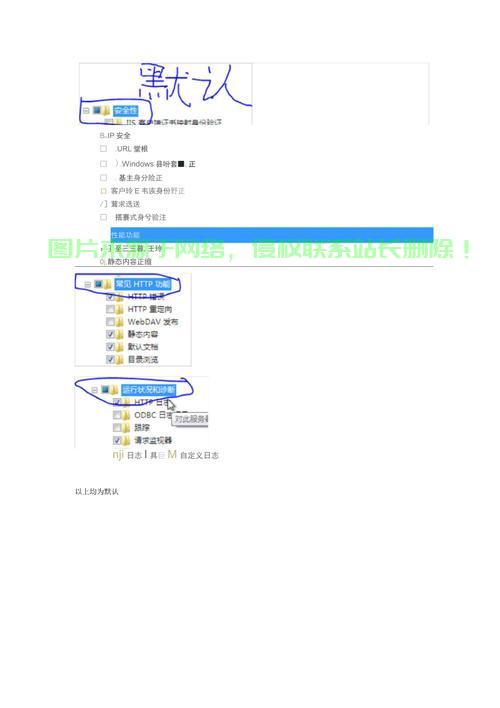 服务器里怎么架设版本? 第1张