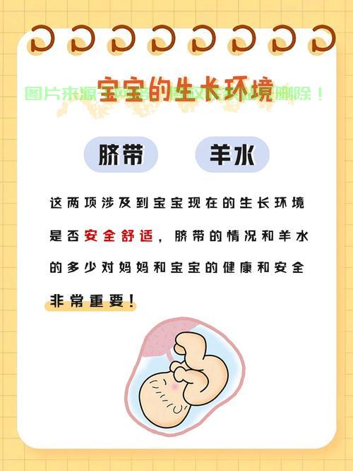 揭秘HC的真实含义，探索未知领域的奥秘！ 第2张