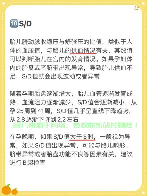 揭秘HC的真实含义，探索未知领域的奥秘！ 第3张