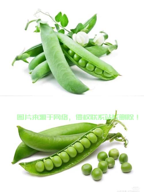 揭秘豌豆荚，应用背后的神秘故事探秘！ 第3张