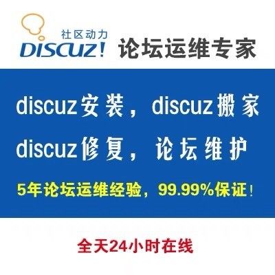 DZ论坛，热门网络交流平台探索之旅 第3张