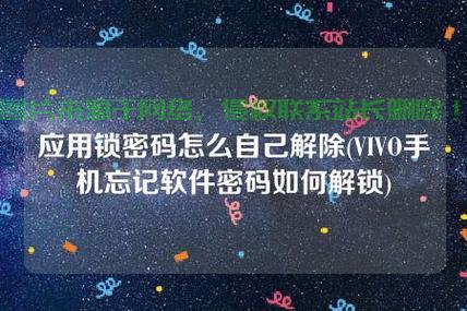 应用密码揭秘，安全保护的挑战与风险应对策略 第2张