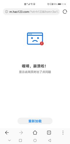 解决网页无法加载的疑难杂症，实用解析与指南 第3张