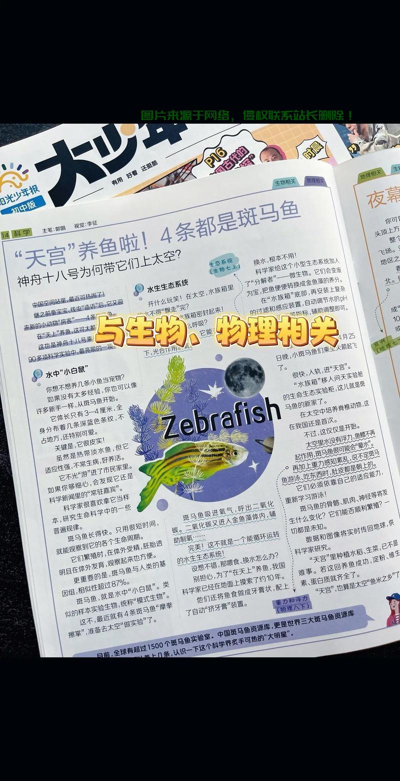 足旁字探秘，解读未知，揭示深层含义 第2张