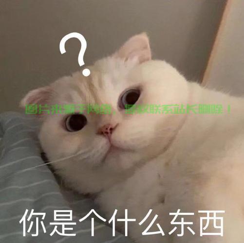 揭秘神秘表情，带你探索未知的表情世界！ 第2张