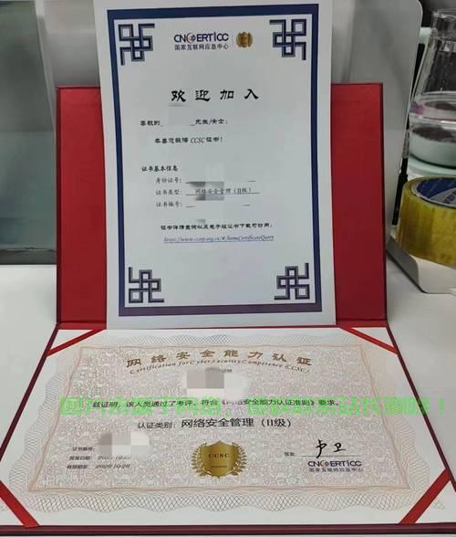 揭秘DSO，全方位理解其概念与含义 第1张