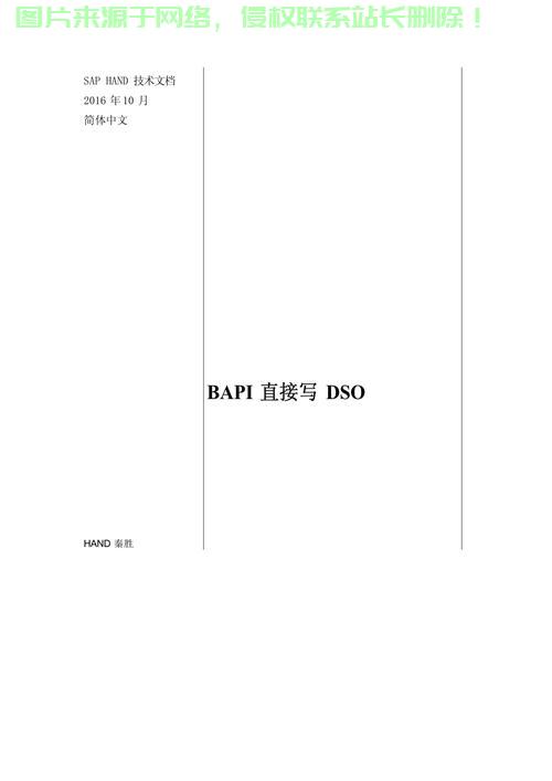 揭秘DSO，全方位理解其概念与含义 第2张