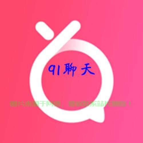 91安卓下载中心，最新应用与游戏的极速获取通道 第3张