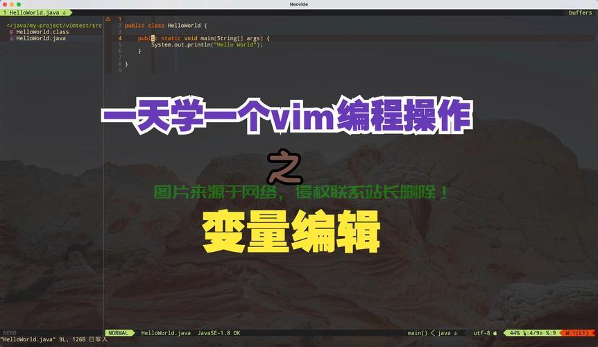 Vim全选复制秘籍，文本编辑的高效操作之道！ 第1张
