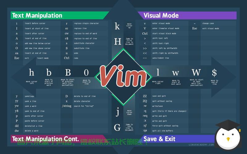 Vim全选复制秘籍，文本编辑的高效操作之道！ 第2张