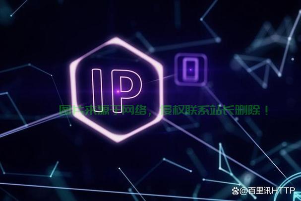 IP代理背后的秘密，安全切换IP地址的方法与潜在法律风险解析 第2张