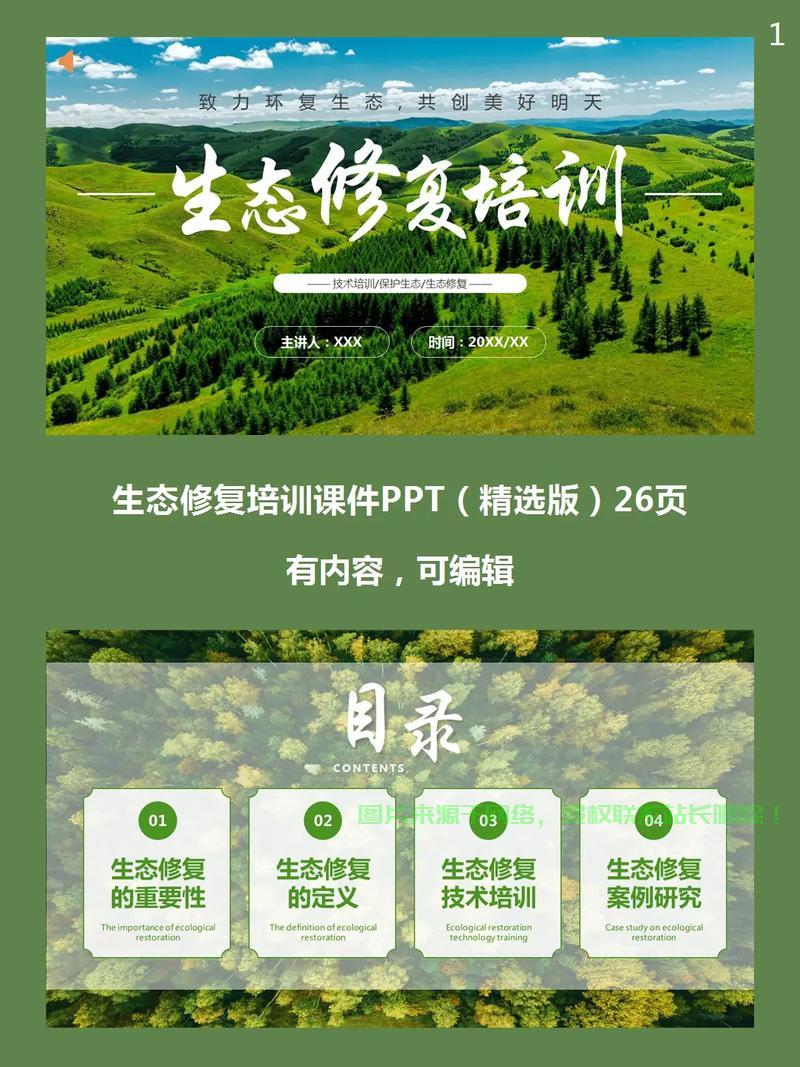 PPT修复秘籍，轻松解决文件损坏难题！ 第1张