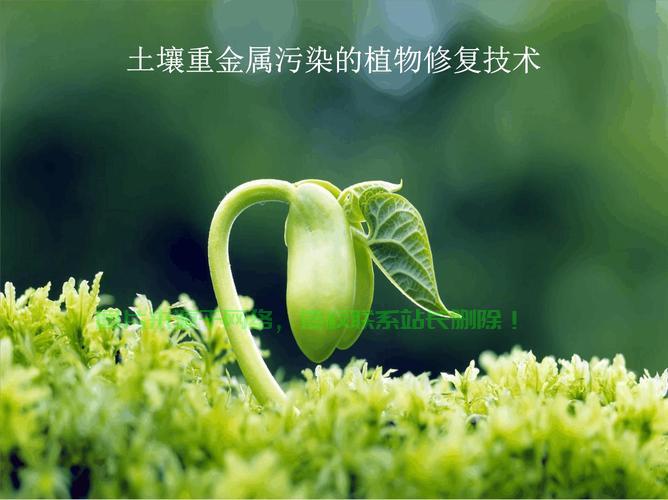 PPT修复秘籍，轻松解决文件损坏难题！ 第2张