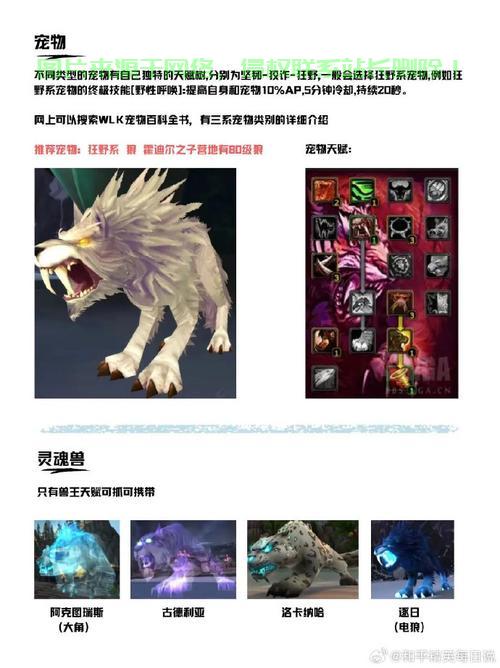 魔兽世界怎么转服务器步骤? 第1张