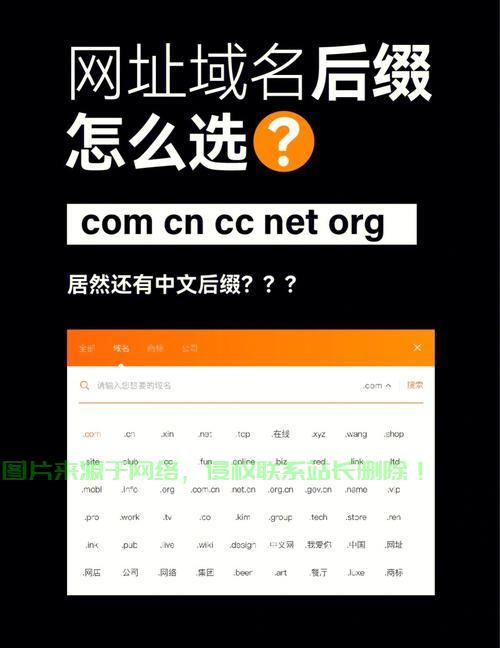 CC域名解析详解与特点深度剖析 第2张