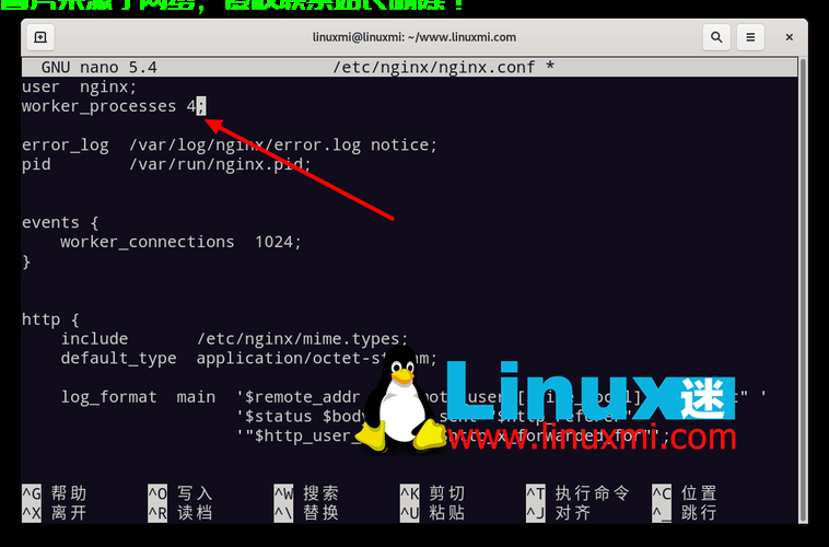 linux服务器怎么启动nginx? 第2张