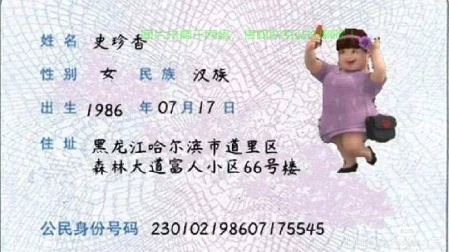 揭秘身份验证，多重验证方式保障数字生活安全无忧 第2张
