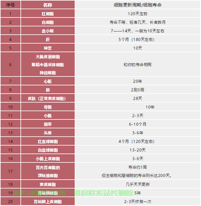 揭秘最新更新动态，关键信息一览无余！ 第2张