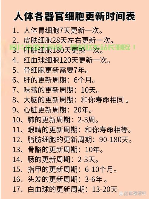 揭秘最新更新动态，关键信息一览无余！ 第1张