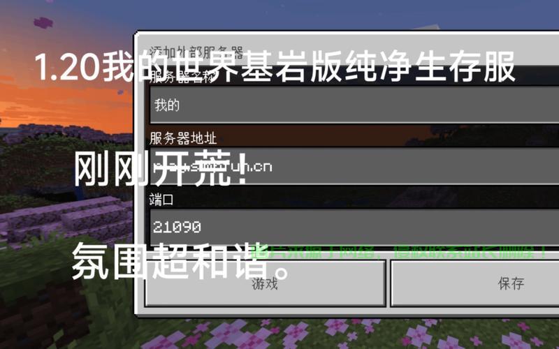 日本的服务器地址怎么写? 第2张