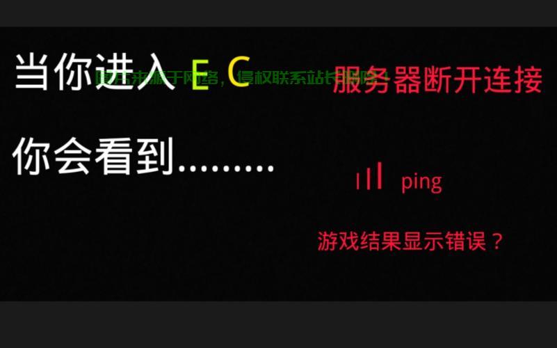 自由城服务器怎么进入? 第1张