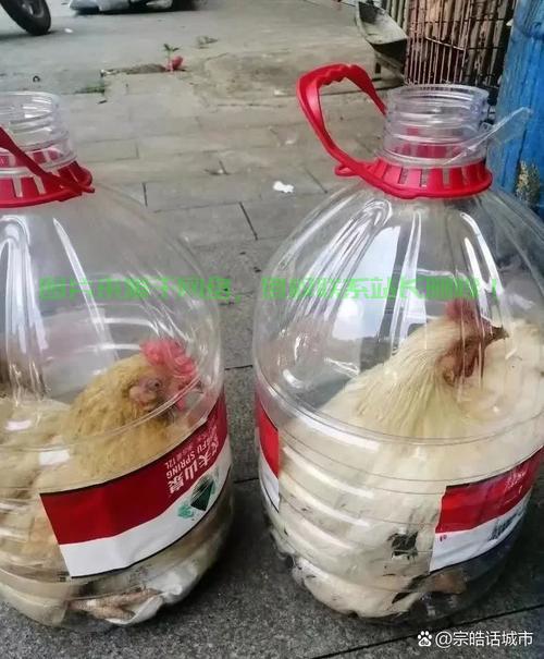 轻松入门容器世界,探索容器技术的必备指南 第1张 轻松入门容器世界,探索容器技术的必备指南 第1张