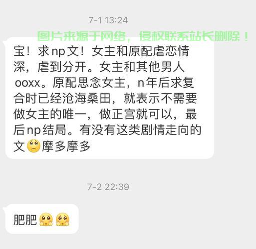 揭秘NP背后的神秘含义，一探究竟！ 第2张