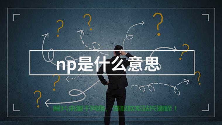 揭秘NP背后的神秘含义，一探究竟！ 第1张