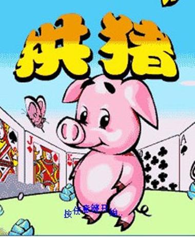 罕见拱猪图片大揭秘，独特魅力，惊艳眼球！ 第3张