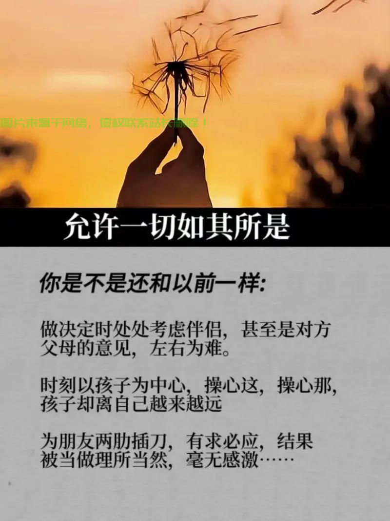 深度揭秘，概念起源与背后含义的奥秘解析 第1张