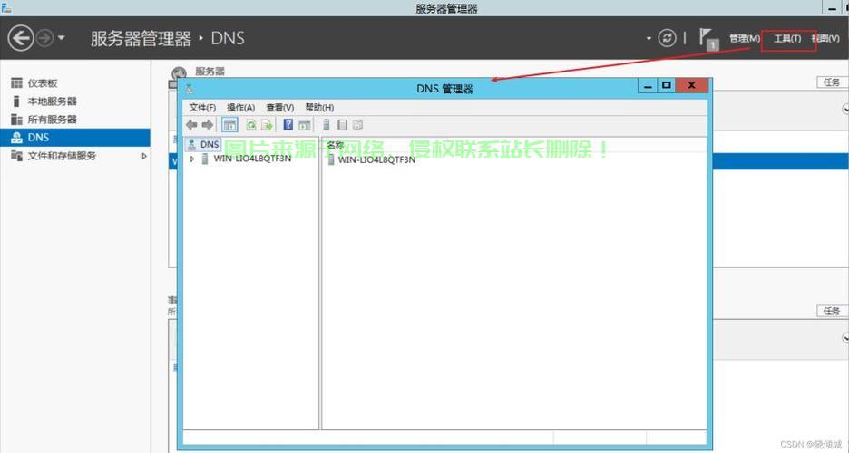 DNA服务器是怎么服务的? 第3张