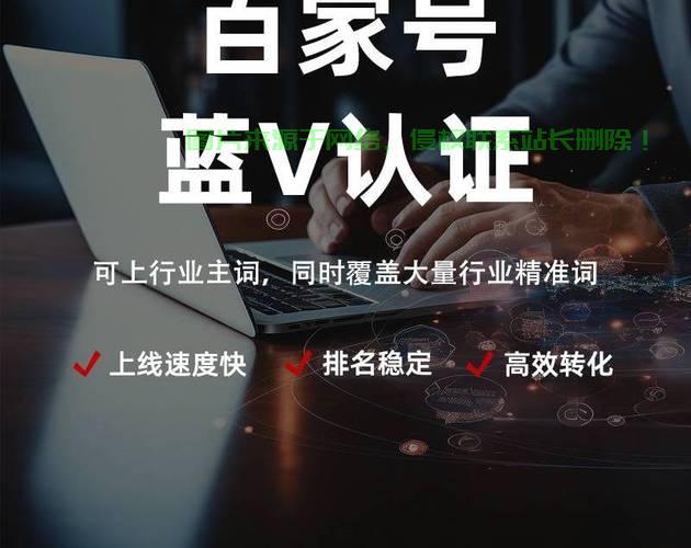 揭秘百度排名优化软件，助力网站流量飙升的秘密武器！ 第1张